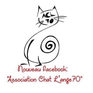 Chat l'ange 70
