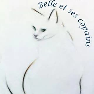 Belle et ses copains