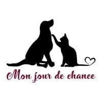 Mon jour de chance