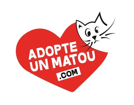 Adopte un Matou