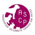 Solidarité copains sur pattes