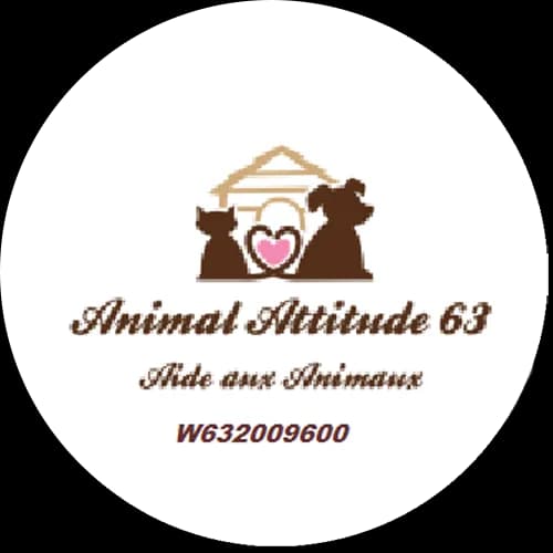 Animal Attitude 63