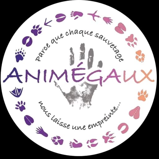 AnimEgaux