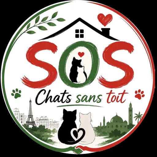 SOS Chats sans toit
