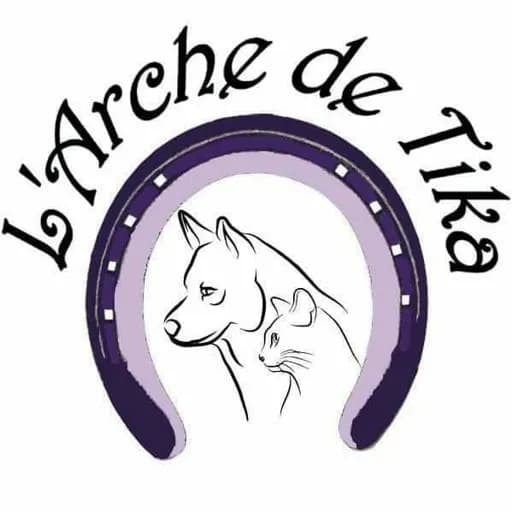 L'arche de tika