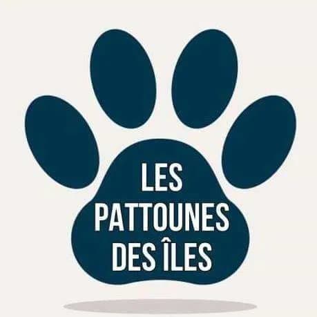 Les pattounes des iles