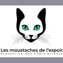 Les Moustaches de l'Espoir