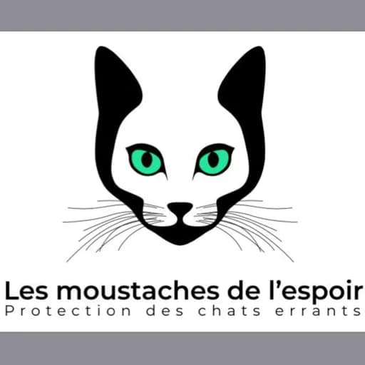 Les Moustaches de l'Espoir