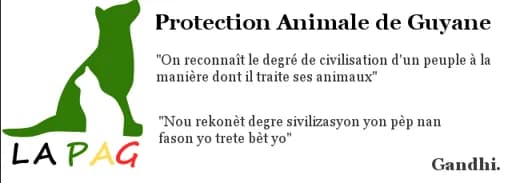PAG Protection Animale Guyane