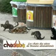 Chadaba