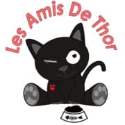 Les Amis De Thor