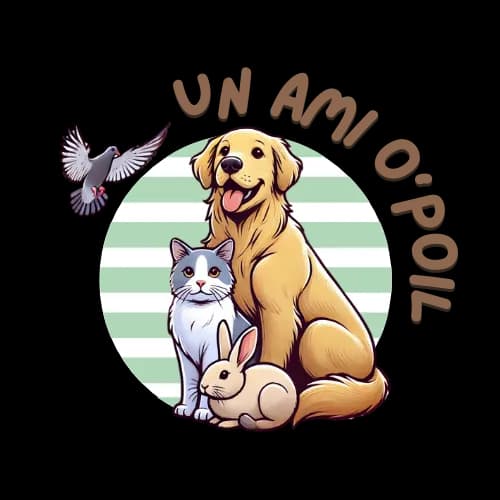 Association Un Ami O'Poil