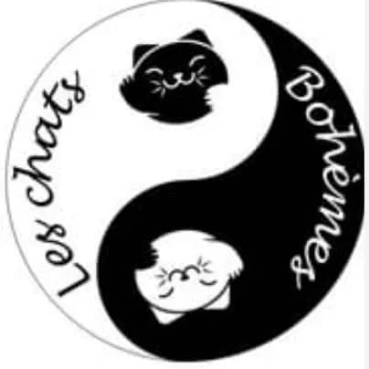 Les Chats Bohemes