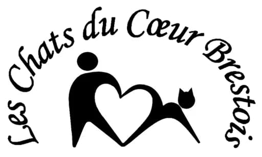 Les chats du coeur brestois