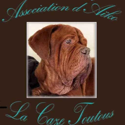 La Caze Toutous