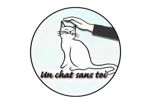 Un chat sans toi