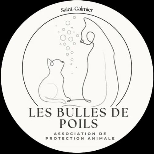 Les bulles de poils