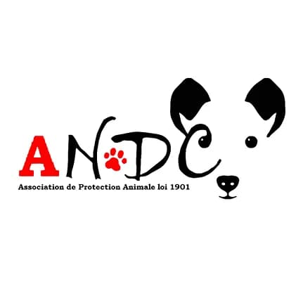 ANDC - Adoptez Nom D'un Chien !