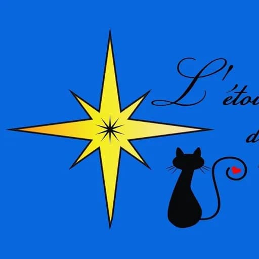 L'étoile du chat