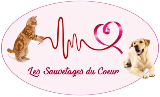 Les Sauvetages du Coeur
