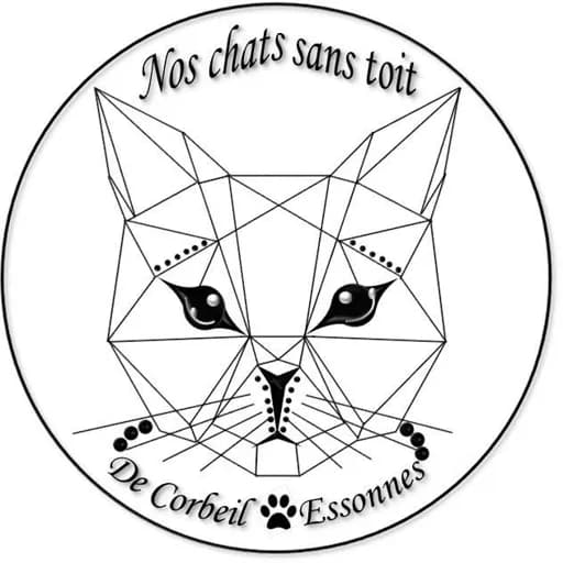 Nos chats sans toit