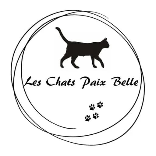 Les chats paix belle du Lauragais