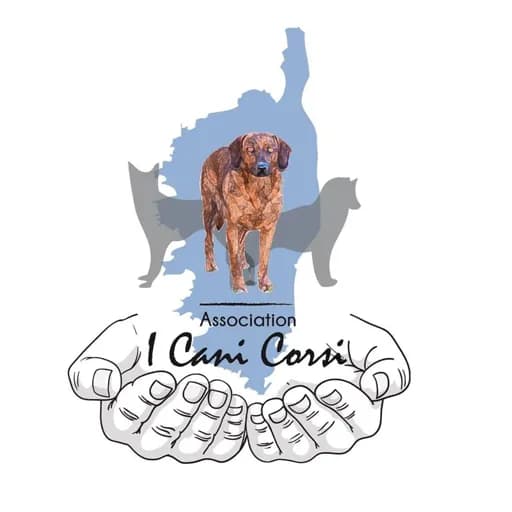 I Cani Corsi