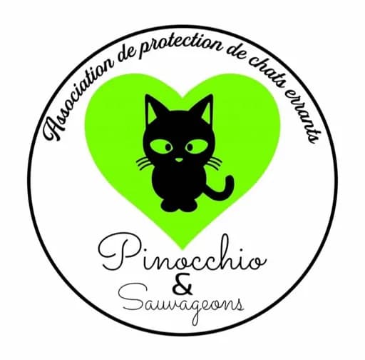 Pinocchio Et Sauvageons
