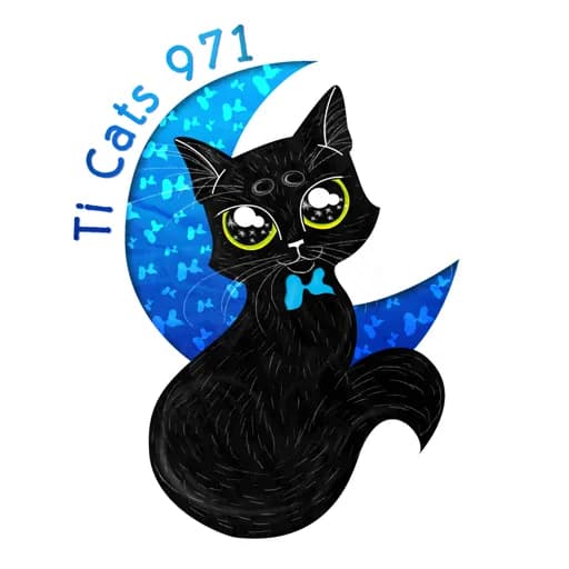 Ti Cats 971