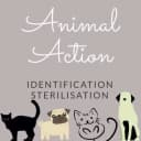 Animal Actions