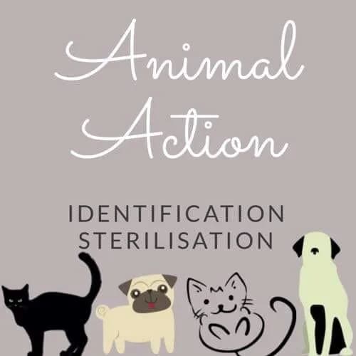 Animal Actions