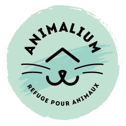 Animalium