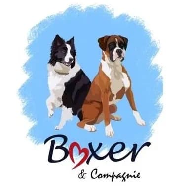 Boxer & Compagnie