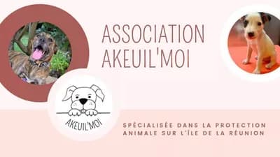 Akeuil'moi