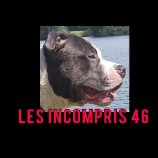 Les incompris 46