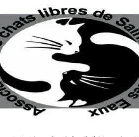 Les chats libres de St Amand les Eaux