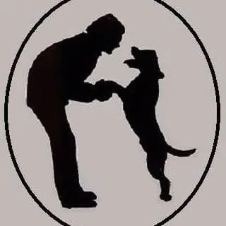 Le relais des animaux