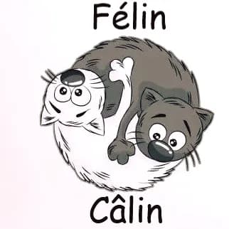 Félin Câlin