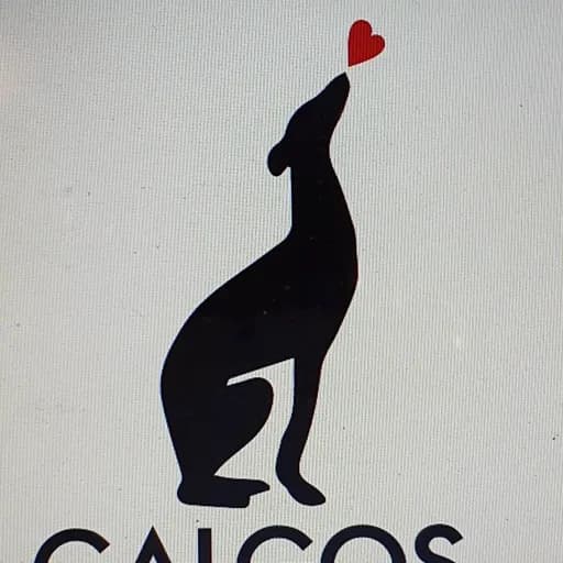 Galgos Charity