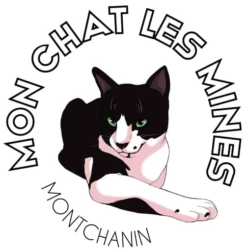 Mon Chat Les Mines