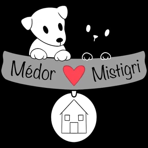 Médor et Mistigri