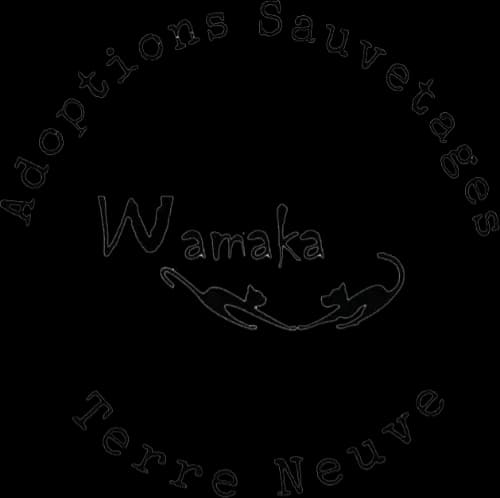 Wamaka