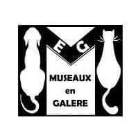Museaux En Galère (MEG)