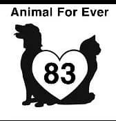 Animal For Ever 83