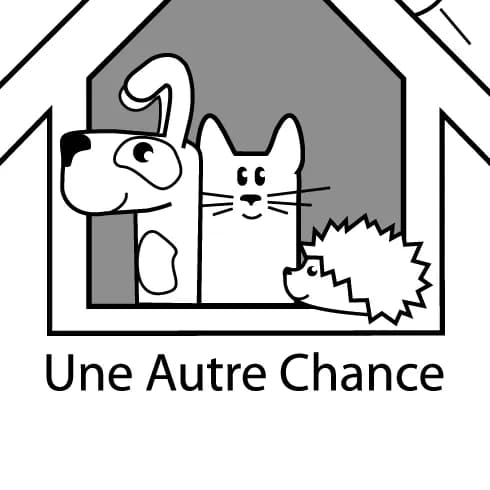 Une autre chance