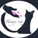 Hungry cats14