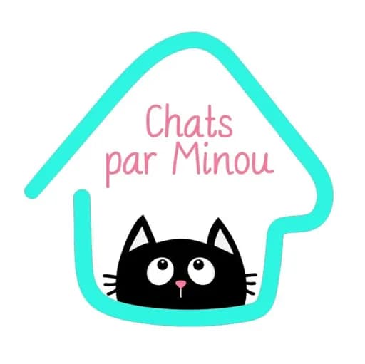 Chats par Minou