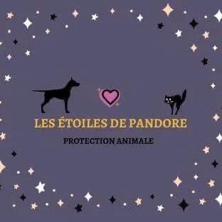 Les Etoiles de Pandore