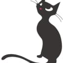 Les chatons des bords de Drôme