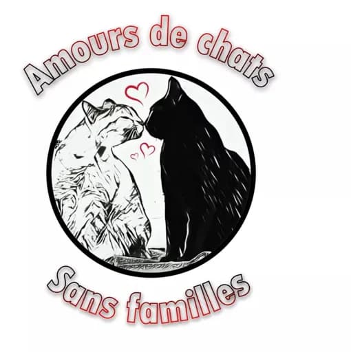 Amours de Chats sans familles